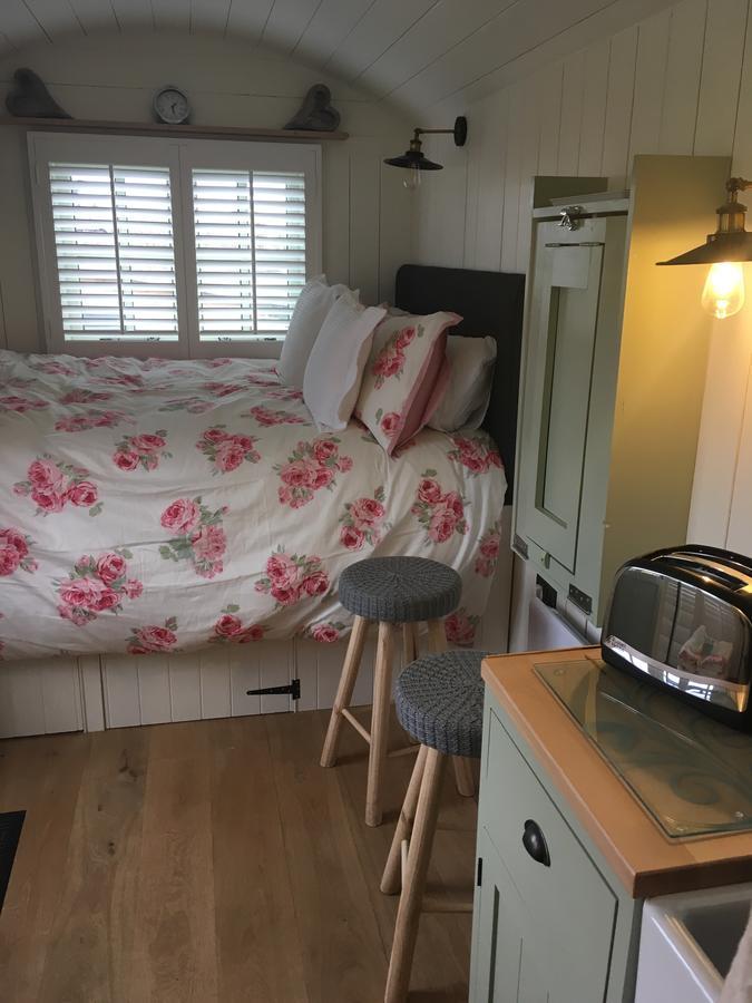 Downsfield Bed And Breakfast St Ives Dış mekan fotoğraf